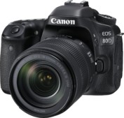 Canon EOS 80D with 18-135mm f/3.5-5.6 IS USM