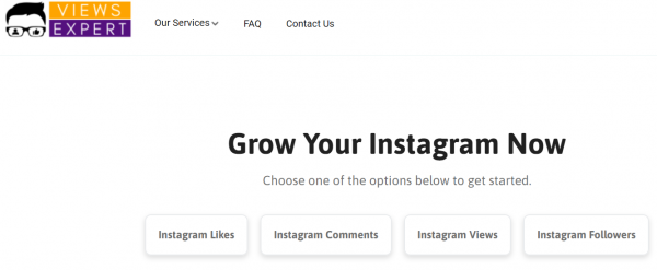 ViewsExpert - buy instagram followers