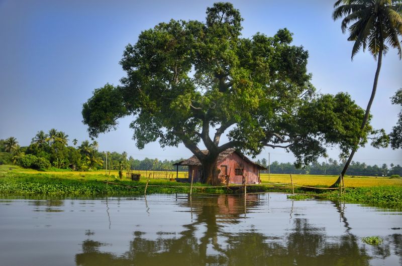 Alleppey (Alappuzha), Kerala