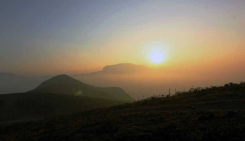 Coorg, Forest, Karnataka