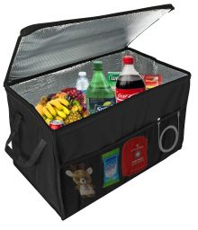 Travel Cooler 