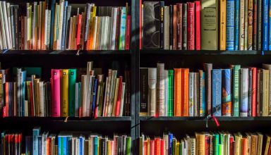 many books in shelf