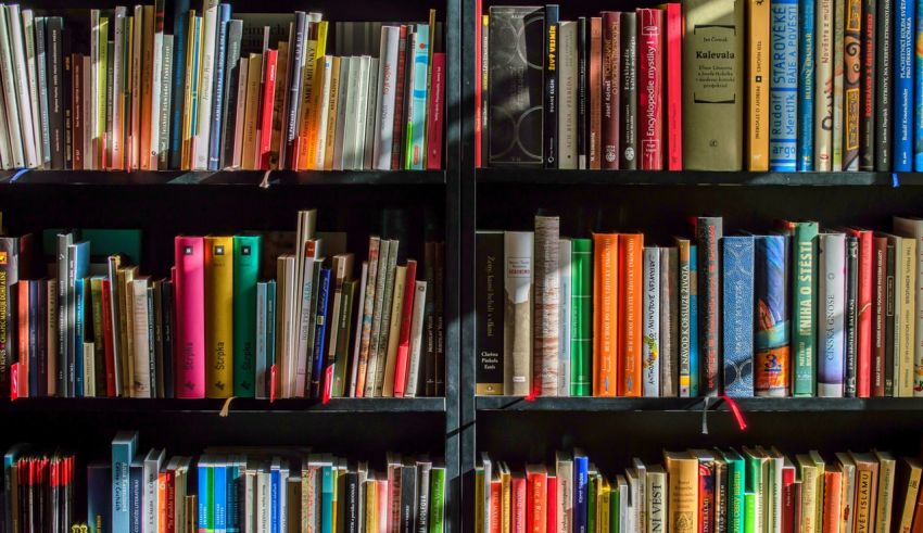 many books in shelf