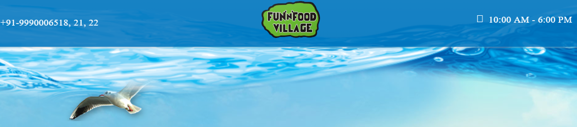 Fun N Food Village