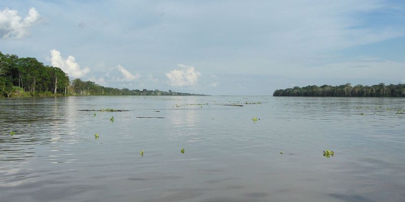 The Amazon River