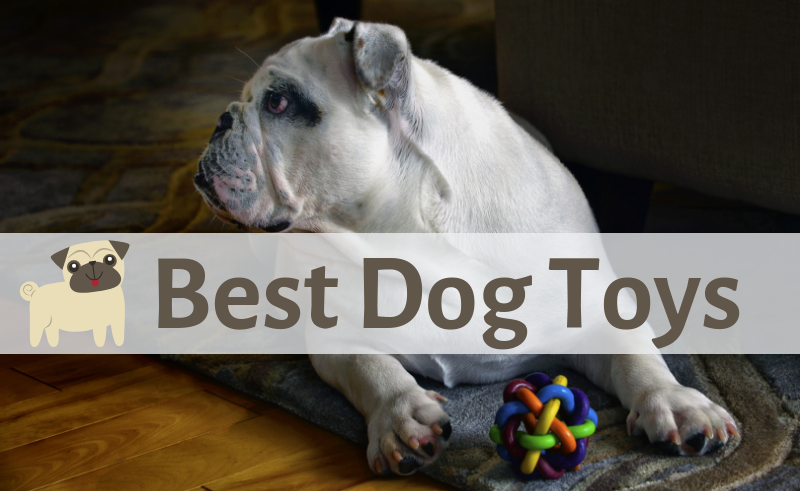 Best Dog Toys