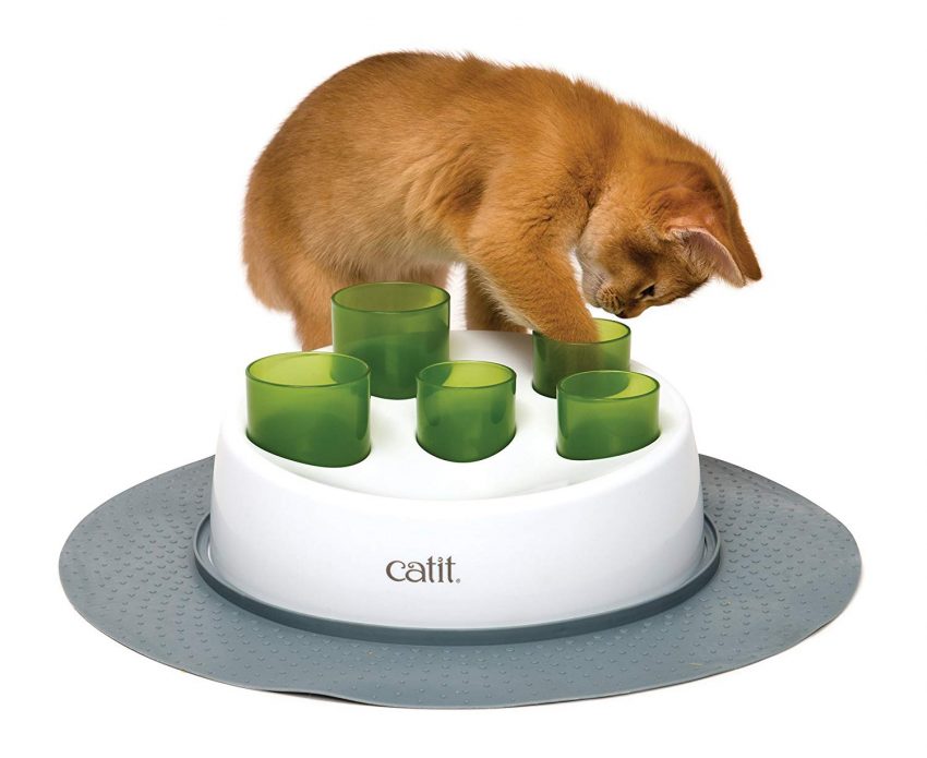23 Best Cat Toys for Making Your Cat Healthier & Smarter (2024)