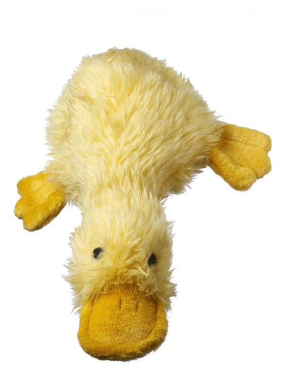 Duckworth 13'' Duck with Squeaker 