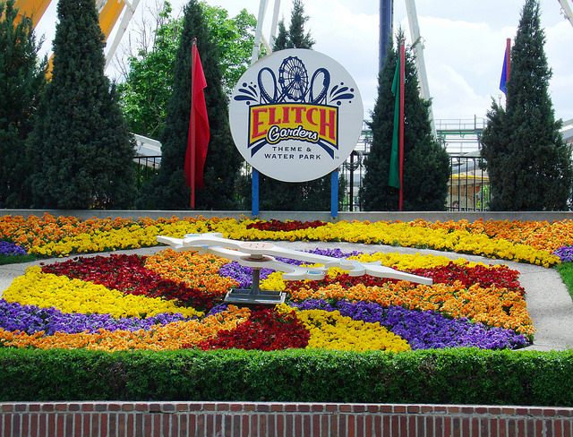 Elitch Gardens flowers