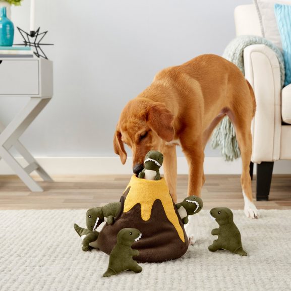 Frisco Hide and Seek Plush Volcano Puzzle Dog Toy