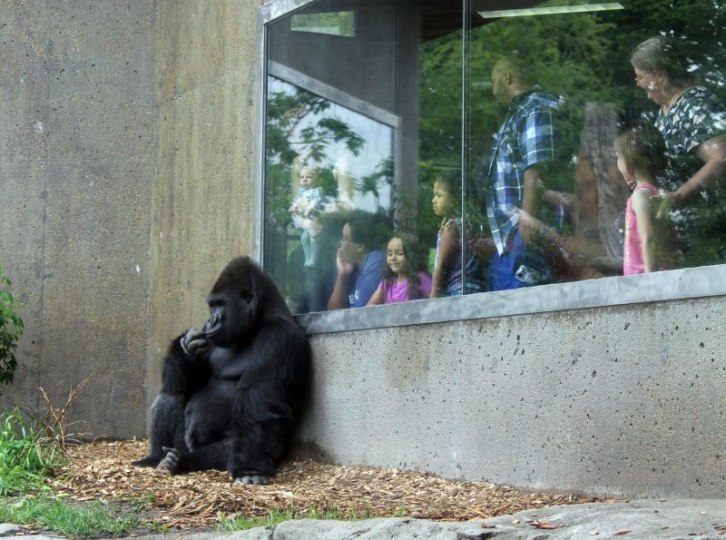 Henry Doorly Zoo