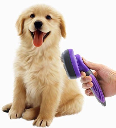 plush puppy brushes