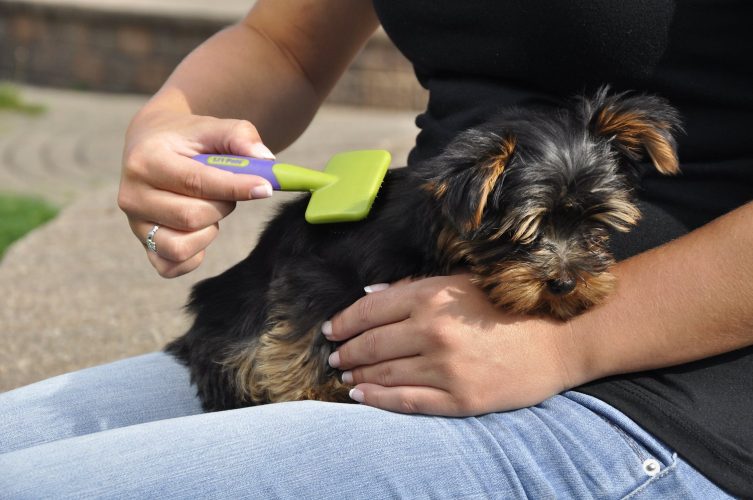 Li'l Pals Coated Tips Dog Slicker Brush