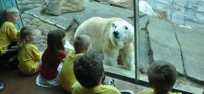 Louisville Zoo