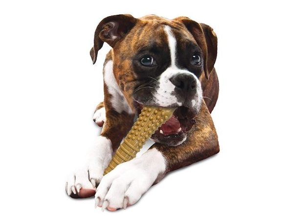 Nylabone Dura Chew Textured Dog Chew