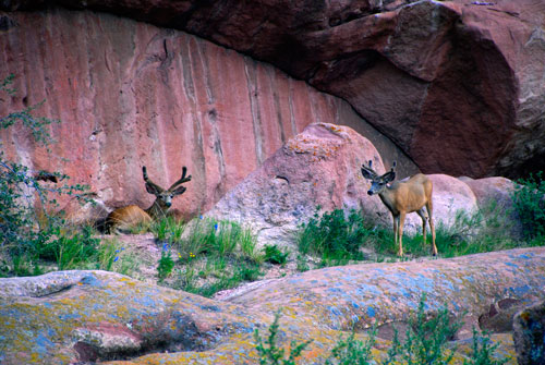 Red Rocks Park and Amphitheater