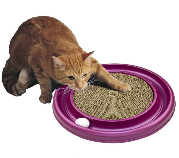 Scratcher Toy for Cat