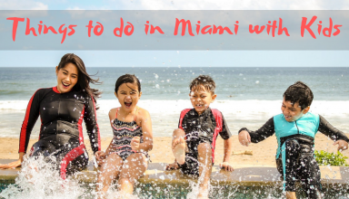 Things to do in miami with kids