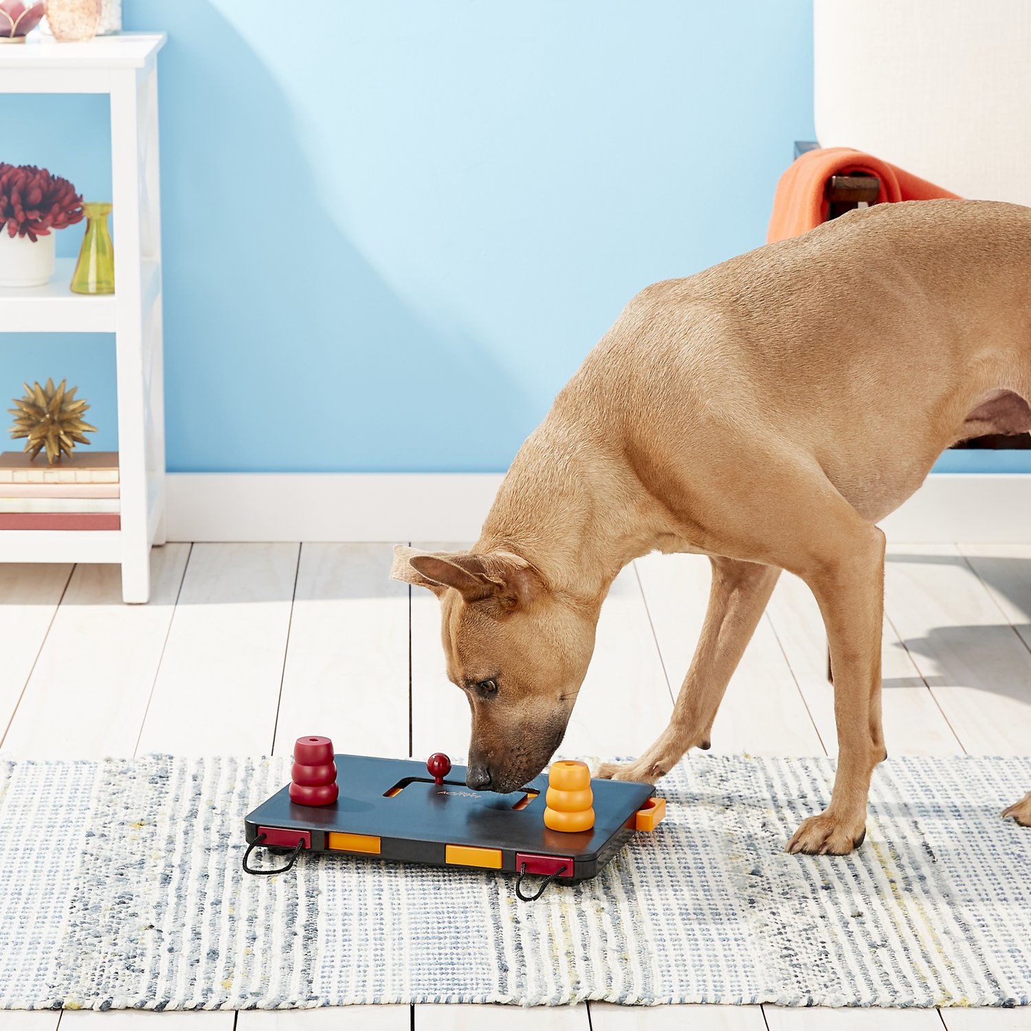 25 Best Dog Toys to Keep Your Fur Baby Happy (2024)
