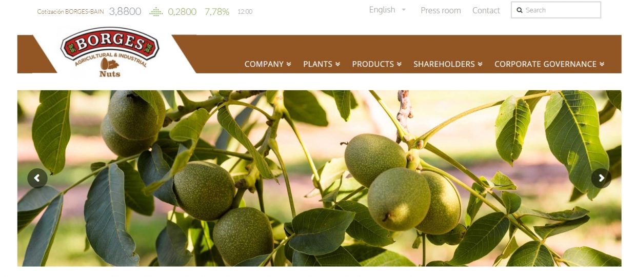 10 Best & Quality Walnut Brands Available In India (2024)