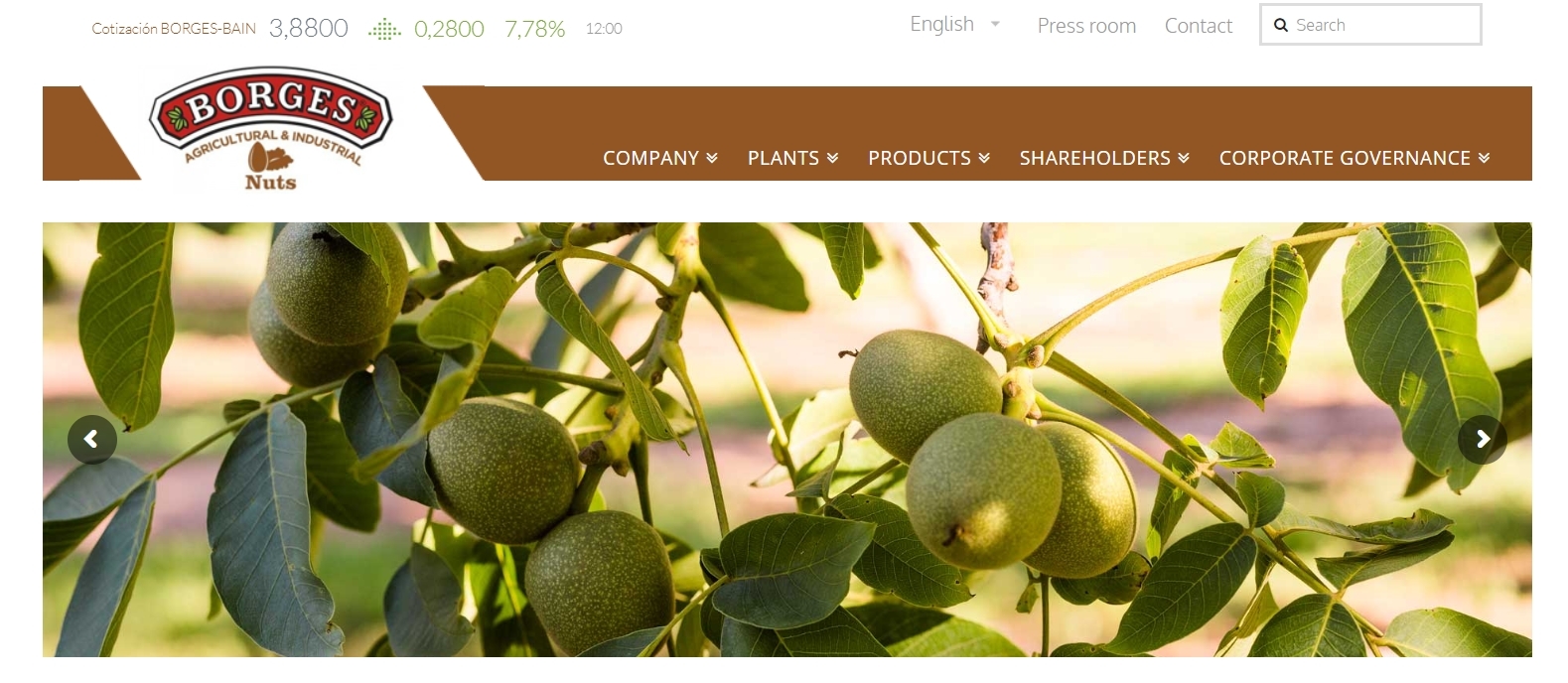 10 Best & Quality Walnut Brands Available In India (2024)