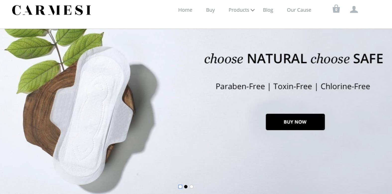 Top 10 Best Sanitary Pads in India (2024)