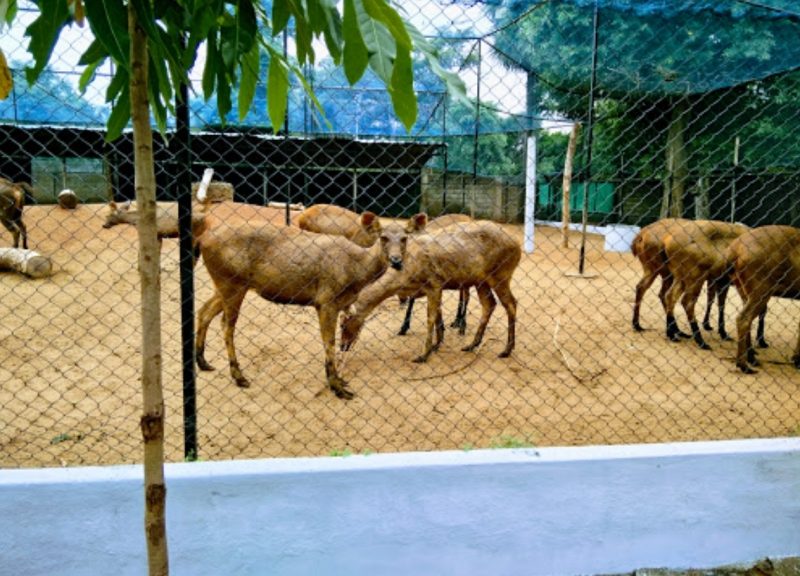 GUINDY NATIONAL PARK