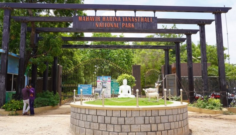 MAHAVIR HARINA VANSTHALI NATIONAL PARK