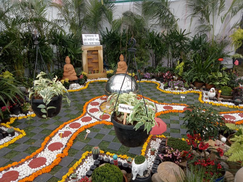 ZAKIR HUSSAIN ROSE GARDEN