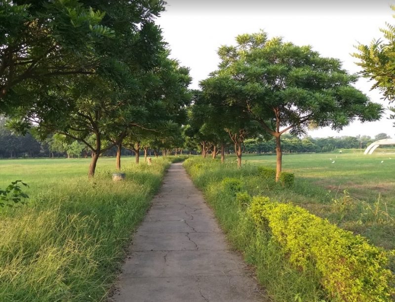 CHANDIGARH BOTANICAL GARDEN