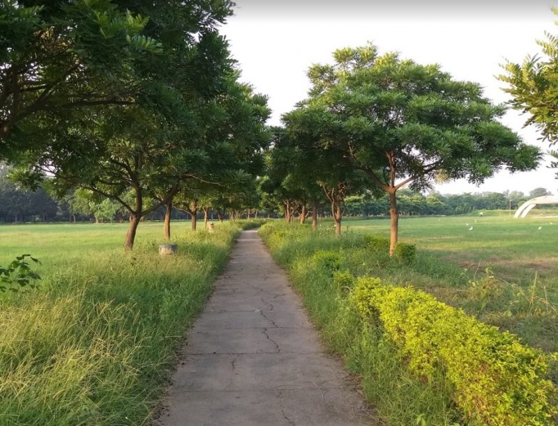 CHANDIGARH BOTANICAL GARDEN 