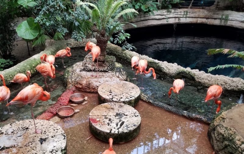 The Dallas World Aquarium