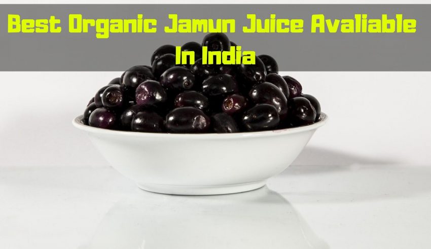 Best Organic Jamun Juice Avaliable in India