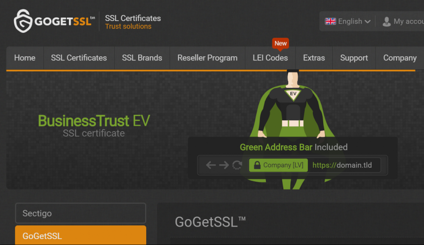 GoGetSSL Review