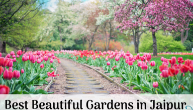 Best Beautiful Gardens in Jaipur