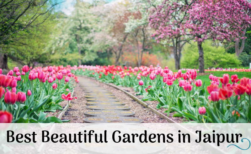 Best Beautiful Gardens in Jaipur