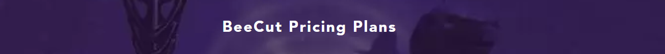 Pricing Information of BeeCut Video Editing Software