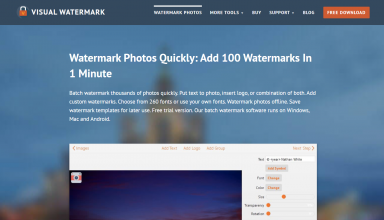 Visual Watermark Review