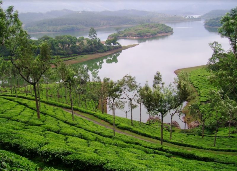 Munnar