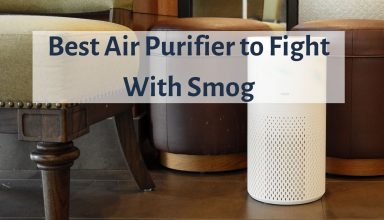 Best Air Purifier to Fight With Smog