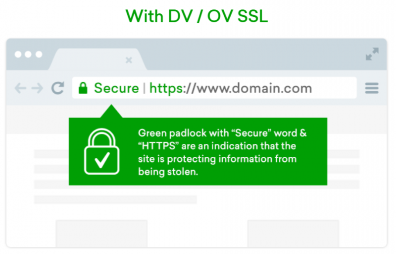 Domain Validation (DV-SSL)