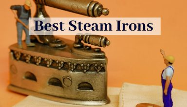 Best Steam Irons