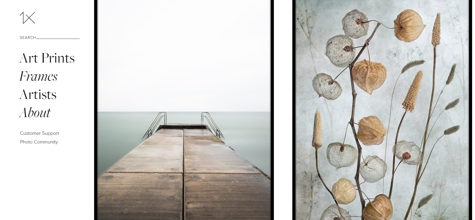 15 Best Photo Storage & Sharing Apps & Sites In 2024