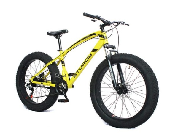 Sturdy Bikes Fat Mountain