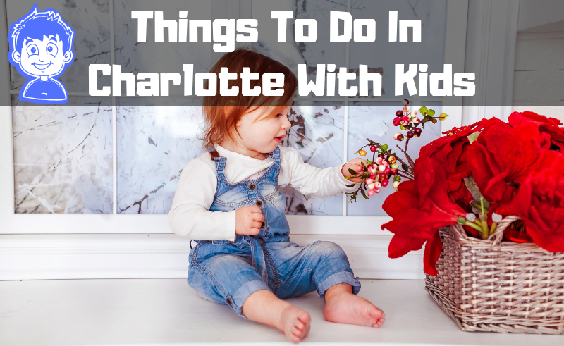 Things To Do In Charlotte With Kids