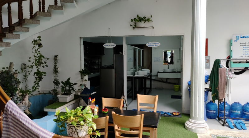 Gecko Hostel Best Hostel in Vung Tau