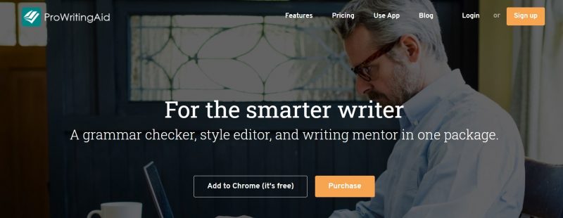 ProWritingAid alternative grammarly