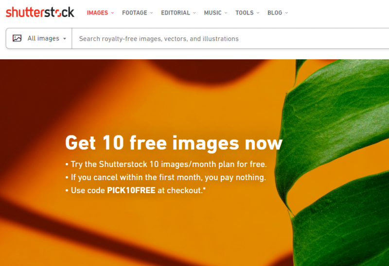 Shutterstock Editor site like canva