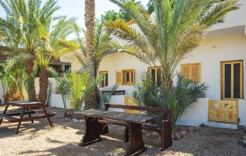 Happy Camel Oasis Best Hostels In Dahab, Egypt