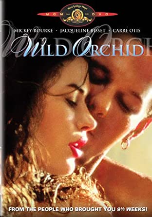 Wild Orchid